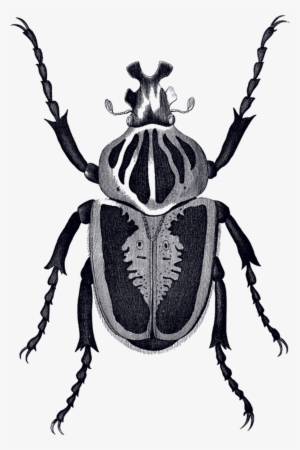 Previous Slide - Scarab Beetle Tattoo Small #1735139