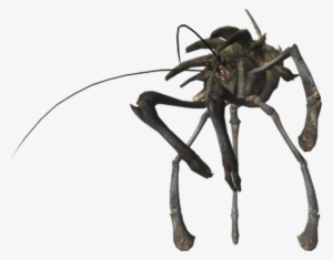 Photo - Monster Hunter Freedom Unite Giant Monster #1735184