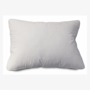 The Plush Pillow - Cushion #1735207