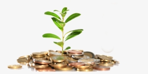 Money Tree Png - Low To Mid-middle Class Moving Up #1735612