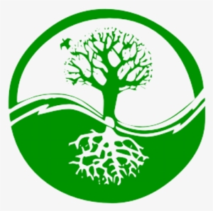 Money Tree - Yin Yang #1736197 Money Tree - Yin Yang #1736197