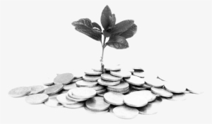 Jamaica's Economy #1736504