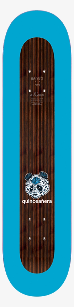 Judkins Money Tree #1736768 Judkins Money Tree #1736768