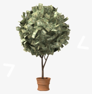 Benefits Of The Money Network Program #1736790