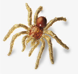 Hemmerle's Spider Brooch With Sapphires And Conch Pearl - Hemmerle #1736920