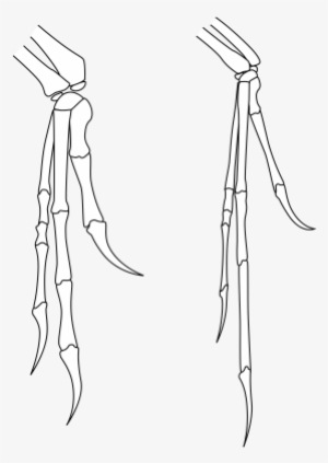 Hands - Sketch #1737011