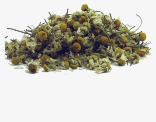 Herb Spices Tea Organic Healthy 774818 #1737539