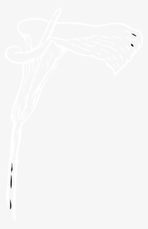 How To Set Use White Calla Lily Clipart #1737565