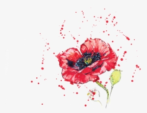 0 Replies 0 Retweets 0 Likes - Corn Poppy #1738238