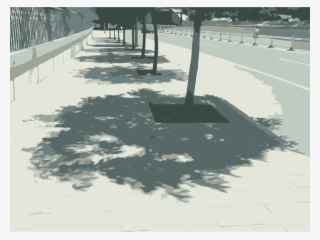 Tree Shadow Computer Icons Caochangdi Wood - Tree With Its Shadow Png #1738240