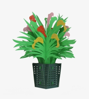 Calla Lily Basket - Houseplant #1738403