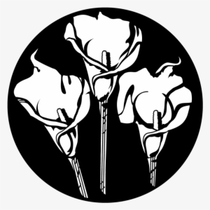 Calla Lily Trio - Apollo Calla Lily Trio Steel Gobo Ms-1185 #1738427