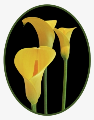 Click And Drag To Re-position The Image, If Desired - Art #1738524