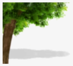 Tree-500x300 - Trousers #1739026