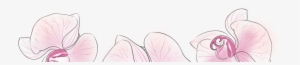 Butterfly #1739205