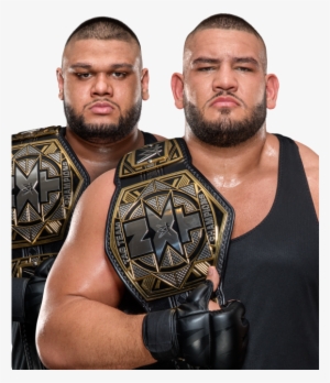 Image - Wwe Vs Nxt Dream Matches #1739233