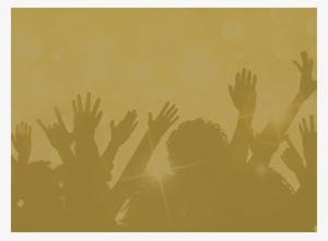 People Hands Header #1739437