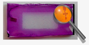 Patterning With Colour - Circle #1743383 Patterning With Colour - Circle #1743383