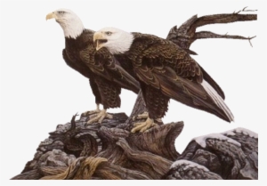 Png Images - Eagle - Gongbi #1743578