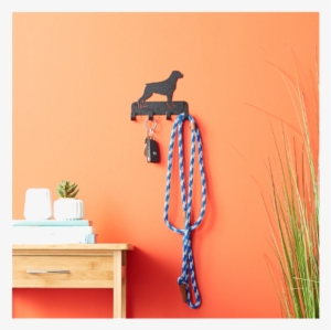 Hang Up The Search For Dog Gifts - Pit Bull #1744013