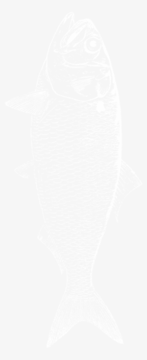 Design By Rm - French Flag 1815 1830 #1744277