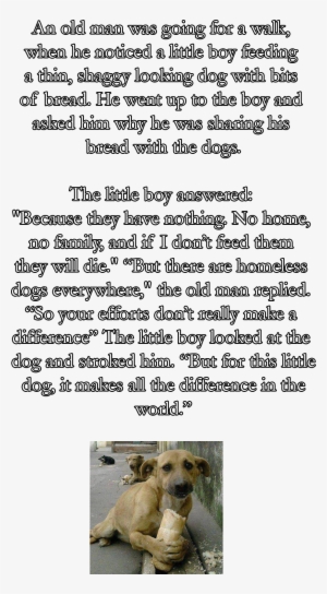 Fond It On Face Book - Small Greek Domestic Dog #1744509