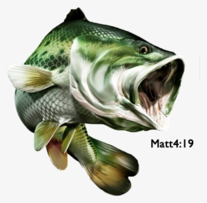 Bass Fish Store Logo #1744960