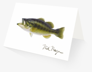 Largemouth Bass - Perch #1745144