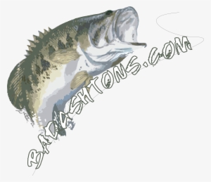 How Water Temperatures Affect Largemouth Bass Behavior - Fishing #1745178