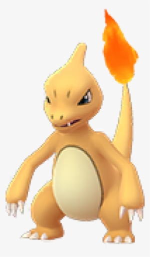 Shiny Charmeleon - Charizard Pokemon Go Shiny #1745286