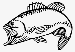 Coral Reef Fish #1745405