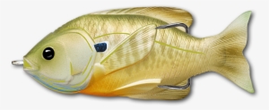 Live Target Sunfish Hollow Body [3" Natural/green Bluegill] #1745421