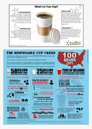 Coffee - Plastic Cups Decomposition Time #1746272