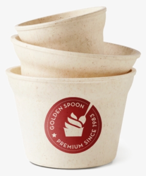 Not Only Creating Exceptional Frozen Yogurt Experience - Golden Spoon #1746664