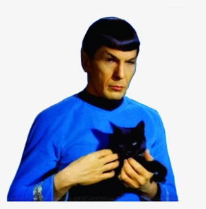 Aye Aye Captain #1747049