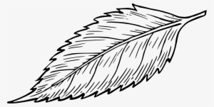 Leaf 8 Icons Png - Leaf Drawing #1747129