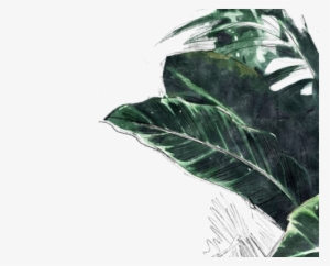 14we 1 E1516415484292 - Sketch #1747201