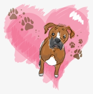 Boxer Love - Boxer Love Women's T-shirt #1748148