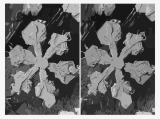 Snowflake Stereoscopy Microscope Crystal Black And - Stereo Images Of Electron Microscope #1749811