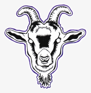 Youth Posse Goat #1750650