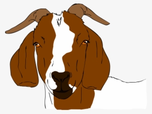 Picture Royalty Free Collection Of High Quality Free - Boer Goats Clip Art #1750763