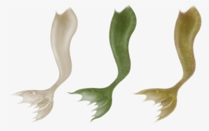 Mermaid Tail Clipart Mermaid Tale - Mermaid Tail High Res #1750831