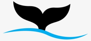Orca Recruitment - Whale Tail Clip Art Free #1751174