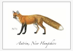 Red Fox - Thirty One Gifts #1751220