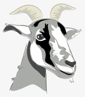 Other - Illustration #1751386