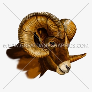 Ram Head Side View - Goat Head Side View #1751576