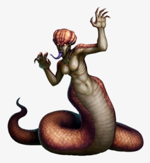 The Lamia Is A Serpentine Female With A Flat, Snake - Lamia Snake #1752120