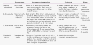 Characteristics Of Snakes Of South Korea - Characteristics Of Snakes #1752465