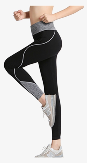 Pt Sports Custom Print Sexy Women Yoga Wear Seamless - Trousers #1752518 Pt Sports Custom Print Sexy Women Yoga Wear Seamless - Trousers #1752518