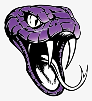 Century Athletics - Snake Head Clip Art #1752584